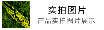 驅(qū)動，手冊，彩頁等資料下載