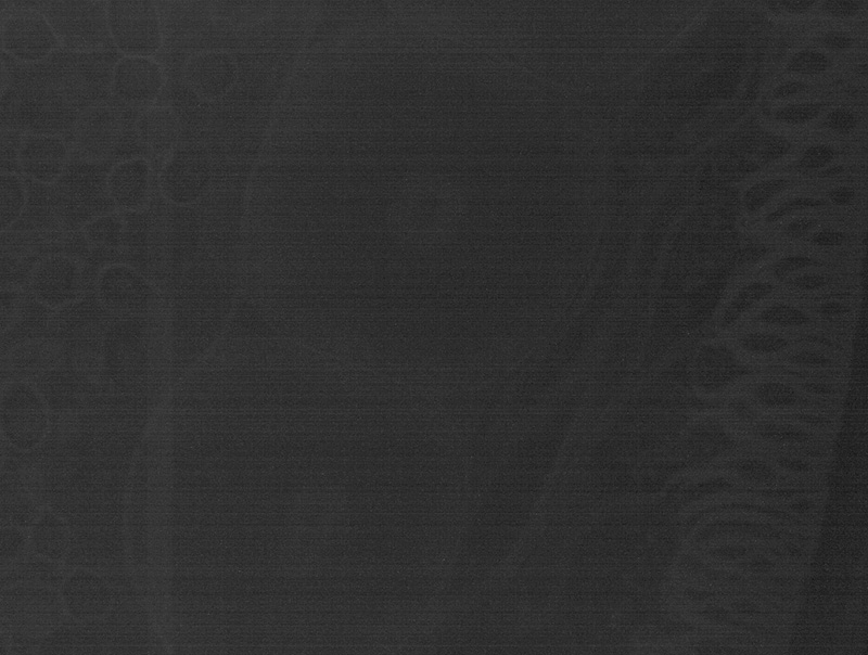 MD10-M@΢DƬ2